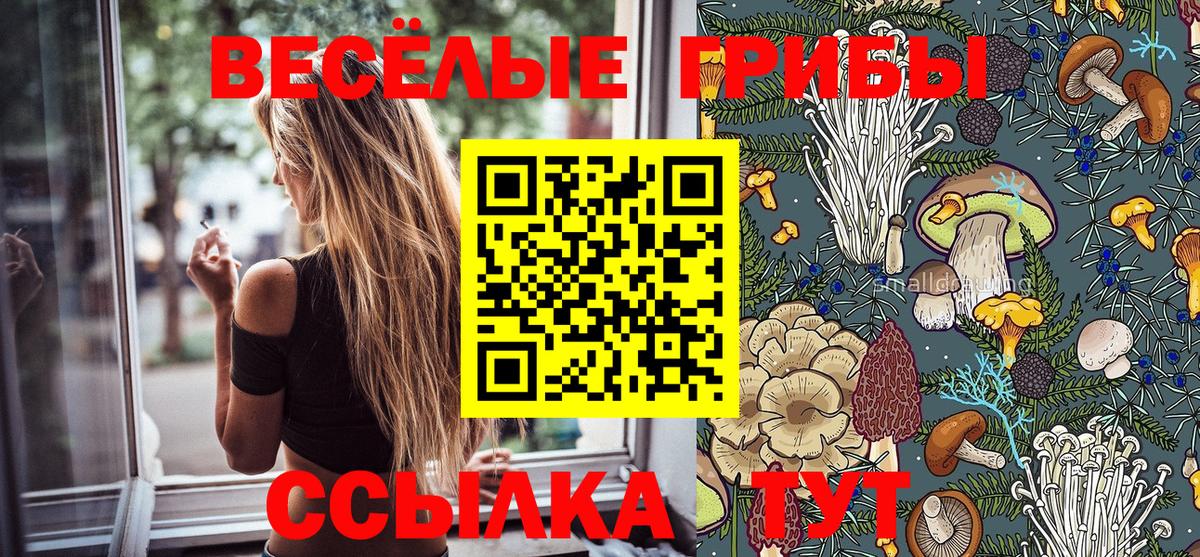 Галлюциногенные грибы MAGIC MUSHROOMS  Вход с VPN  Ханты-Мансийск 