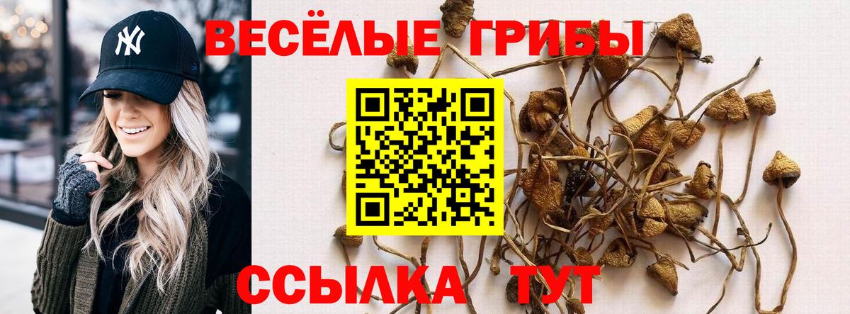 Псилоцибиновые грибы Cubensis Ханты-Мансийск